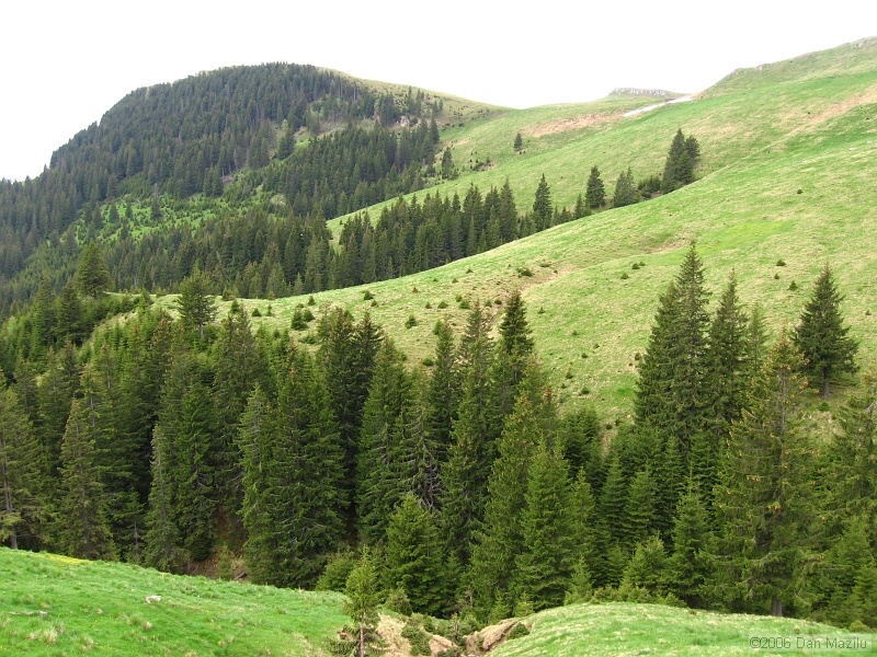 IMG_3210.jpg