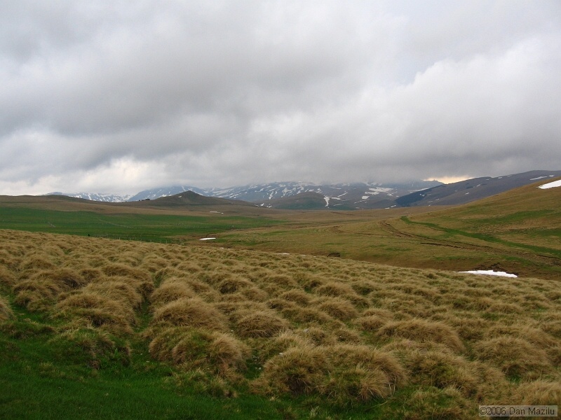 IMG_3216.jpg