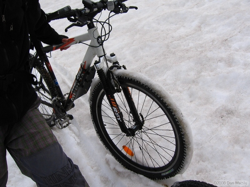 IMG_3235.jpg