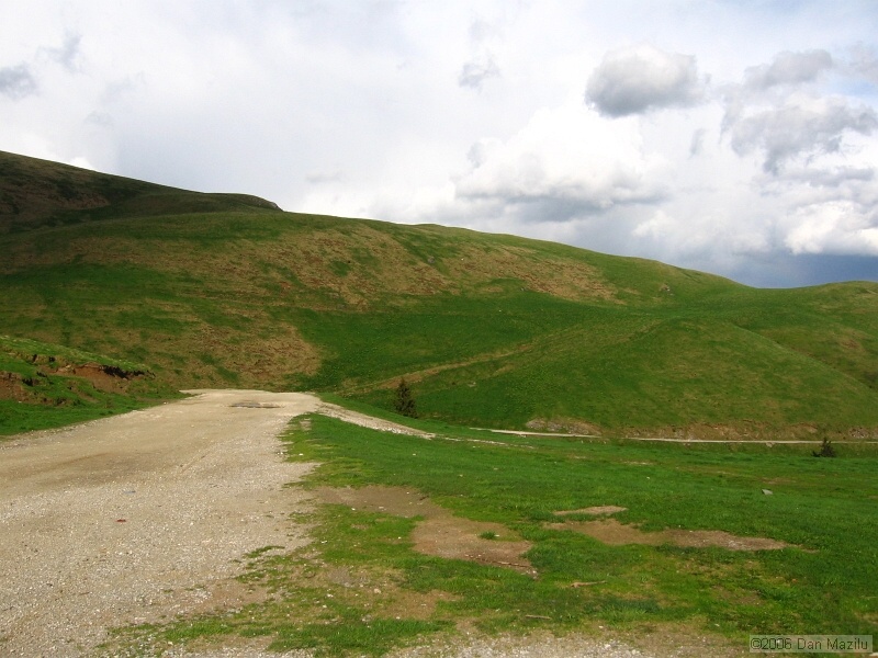 IMG_3259.jpg