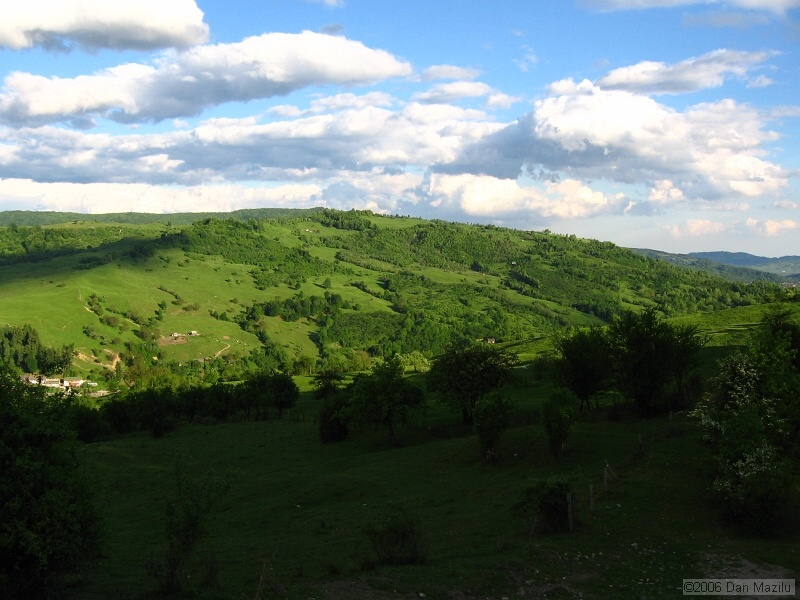 IMG_3263.jpg