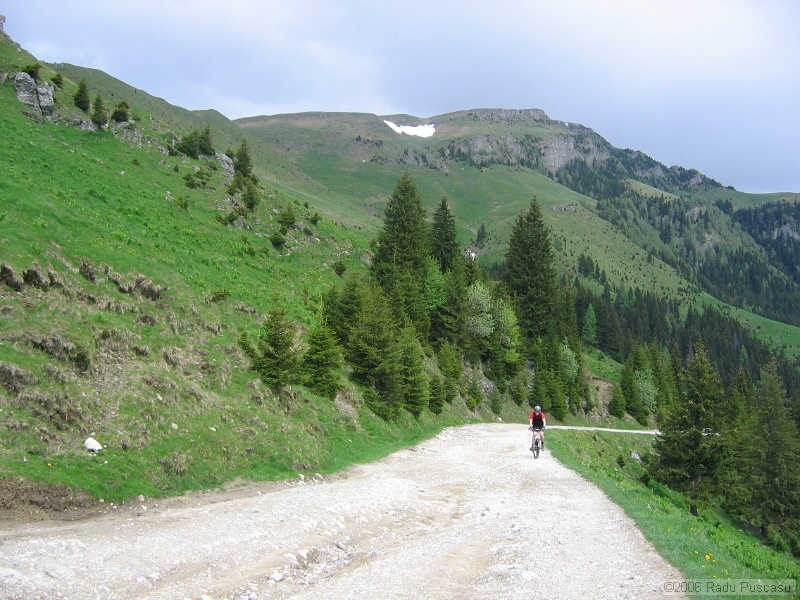 IMG_7897.jpg