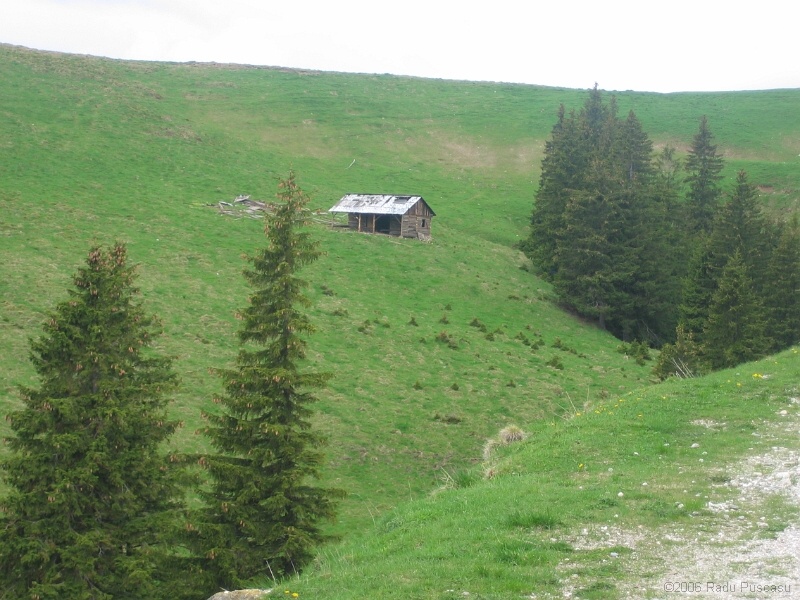 IMG_7914.jpg