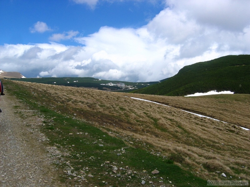 IMG_7930.jpg