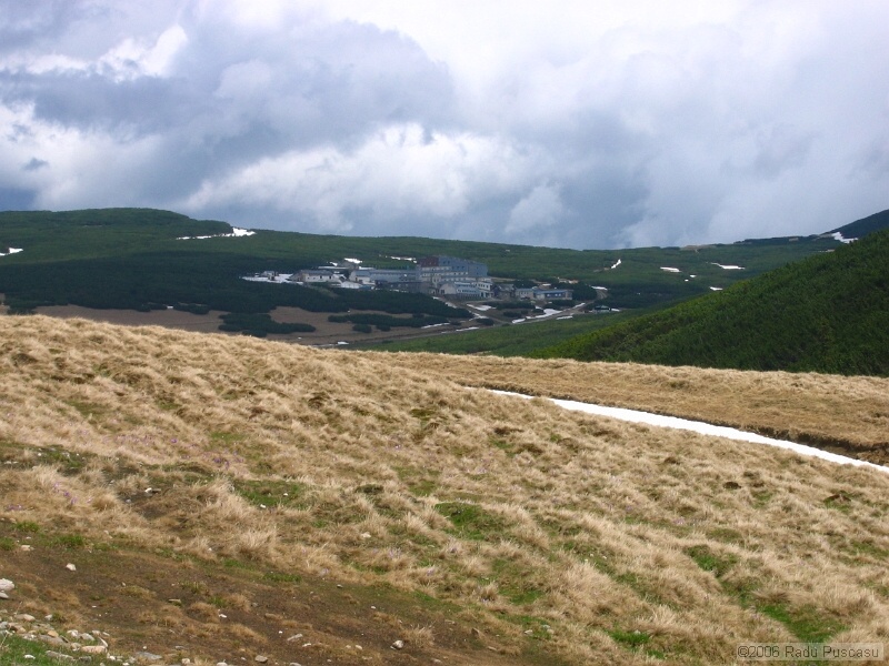 IMG_7931.jpg