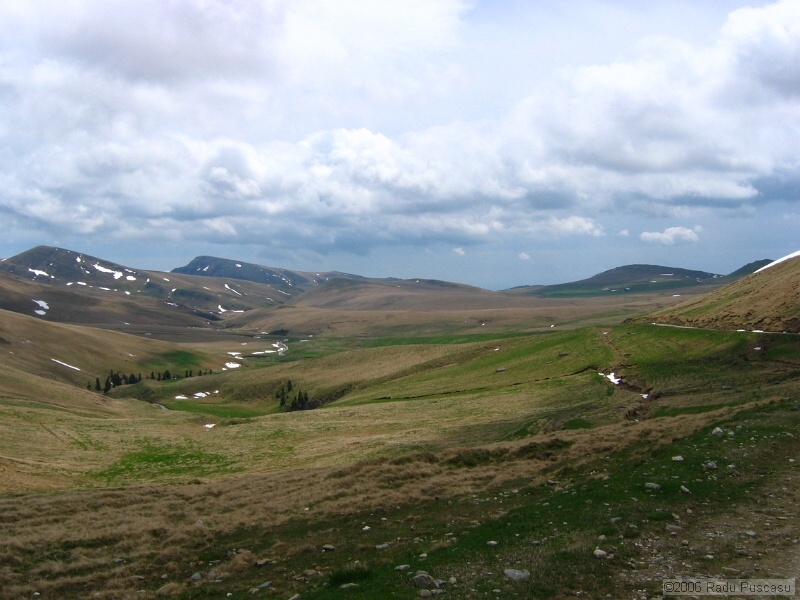 IMG_7934.jpg