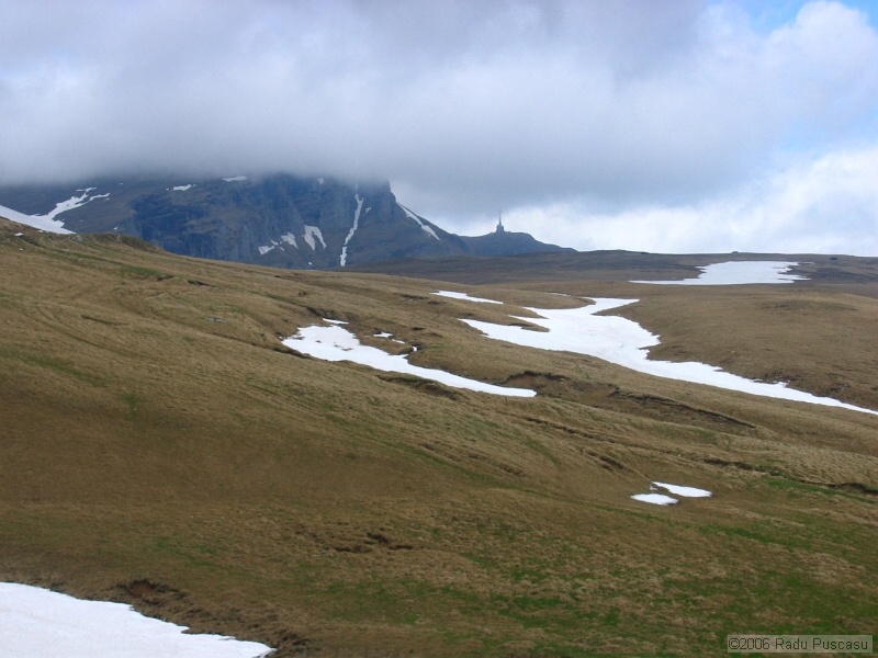 IMG_7941.jpg