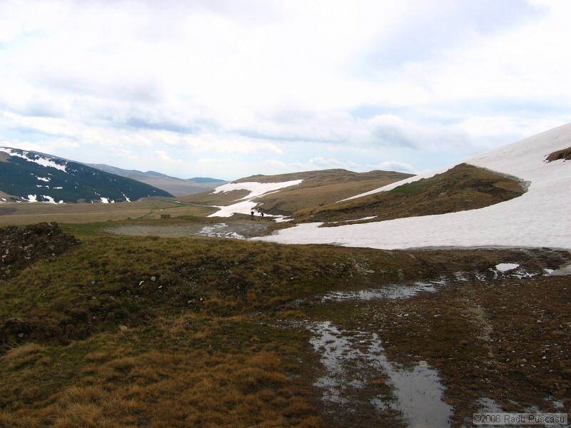 IMG_7953.jpg