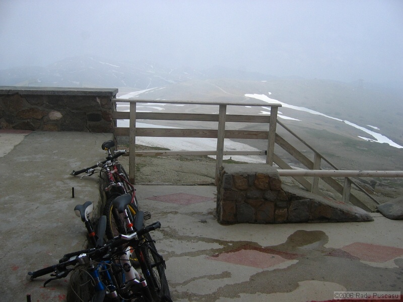 IMG_7972.jpg