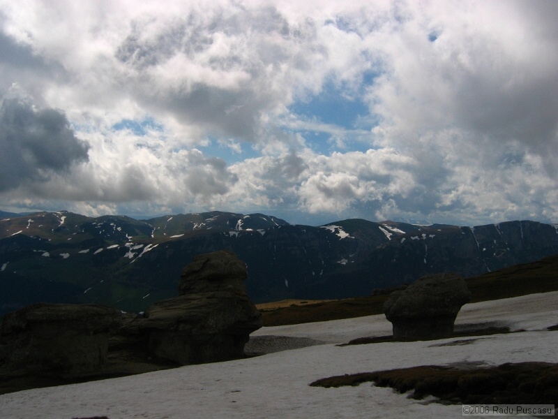 IMG_7975.jpg