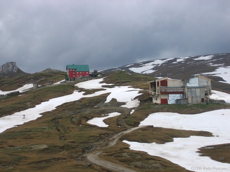 IMG_7978.jpg