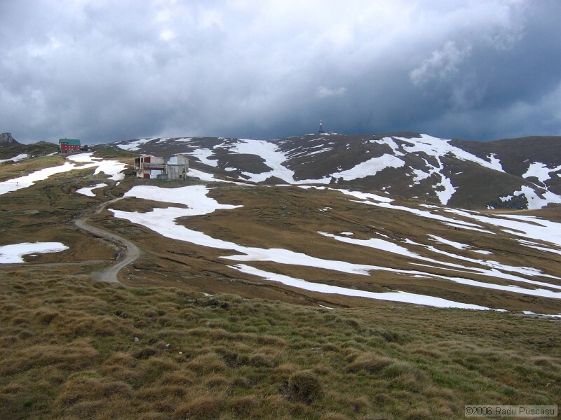 IMG_7979.jpg