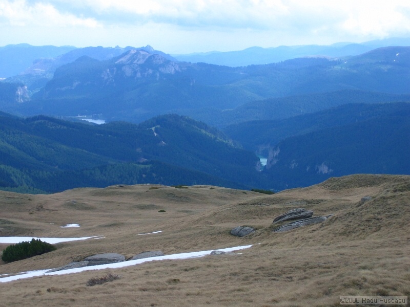 IMG_7982.jpg