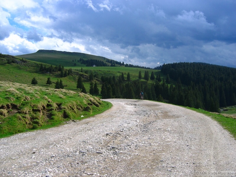 IMG_7997.jpg