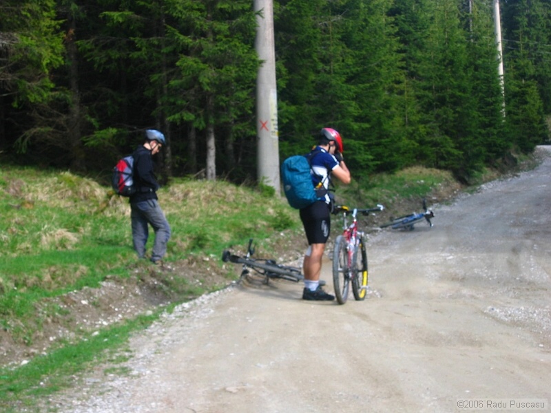 IMG_8000.jpg