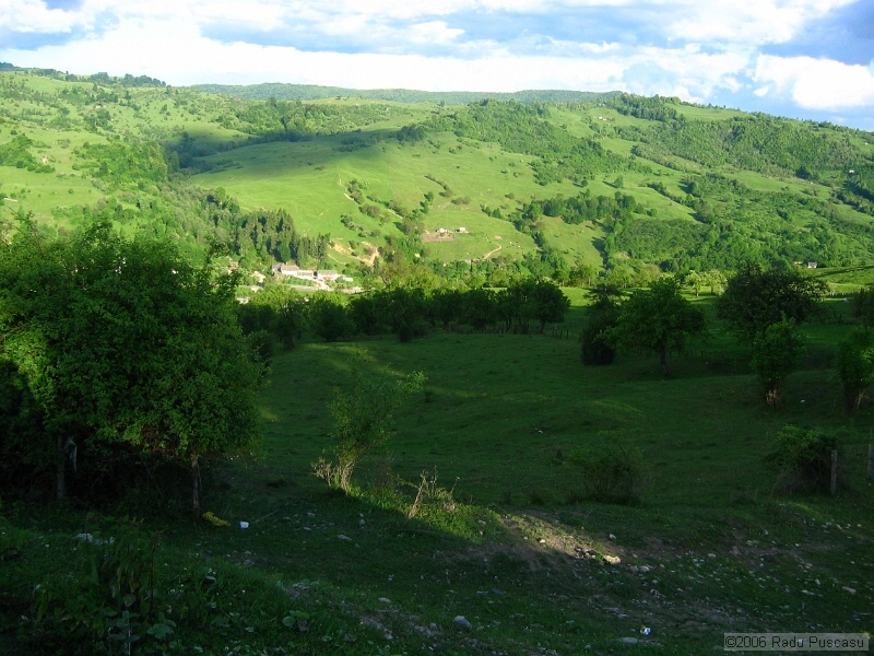 IMG_8002.jpg