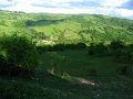 IMG_8002