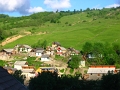 IMG_8009
