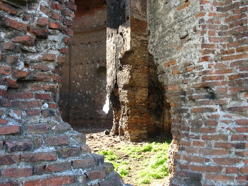 IMG_1217.jpg