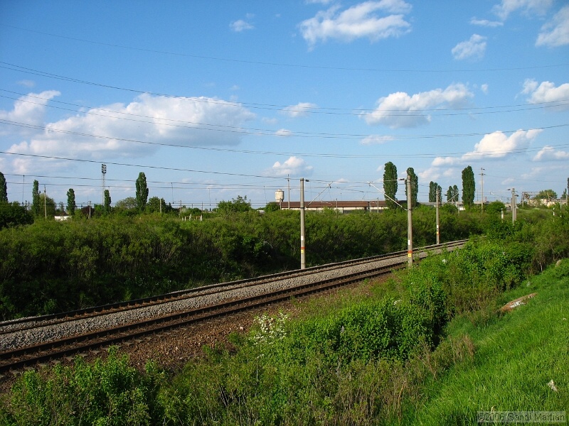 IMG_1235.jpg
