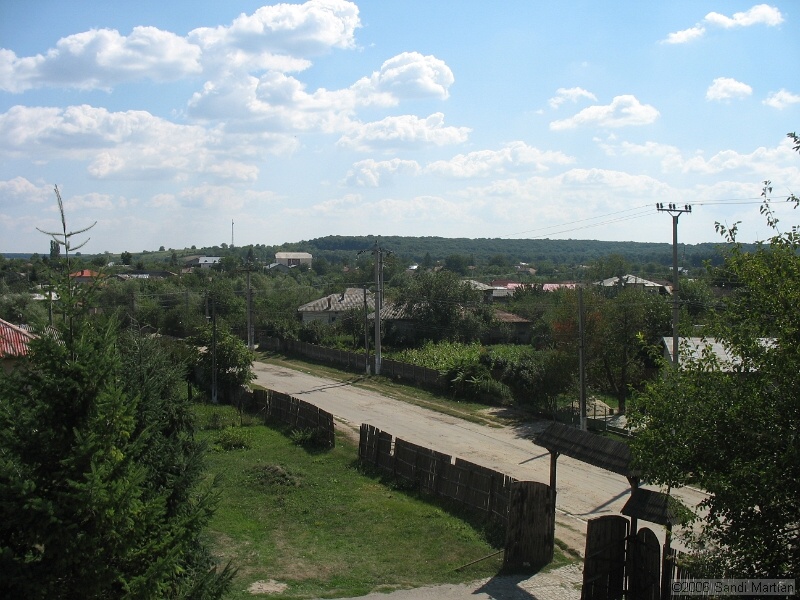 IMG_2636.JPG