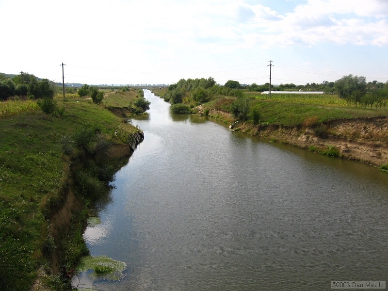 IMG_5593.JPG