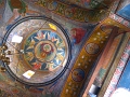 IMG_5564