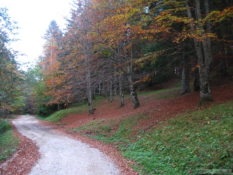 097.JPG
