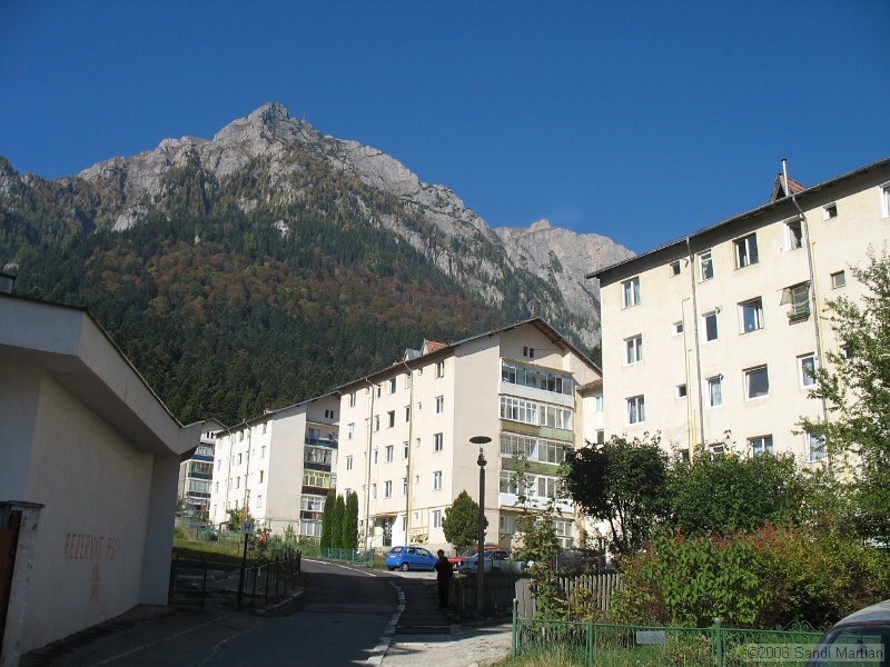 IMG_2766.JPG