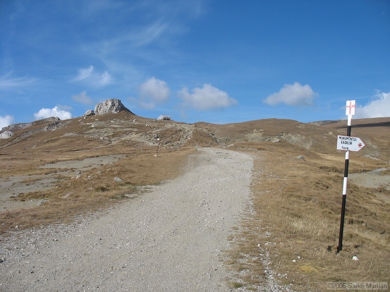 IMG_2806.JPG