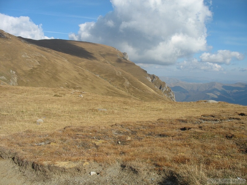 IMG_2807.JPG