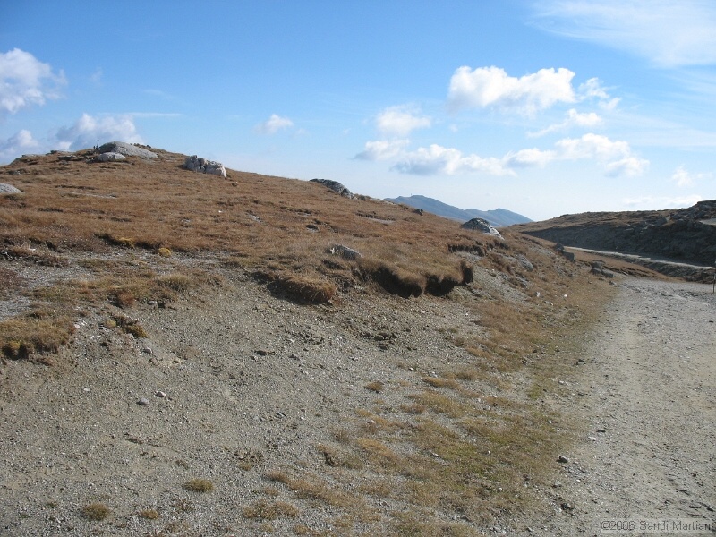 IMG_2810.JPG