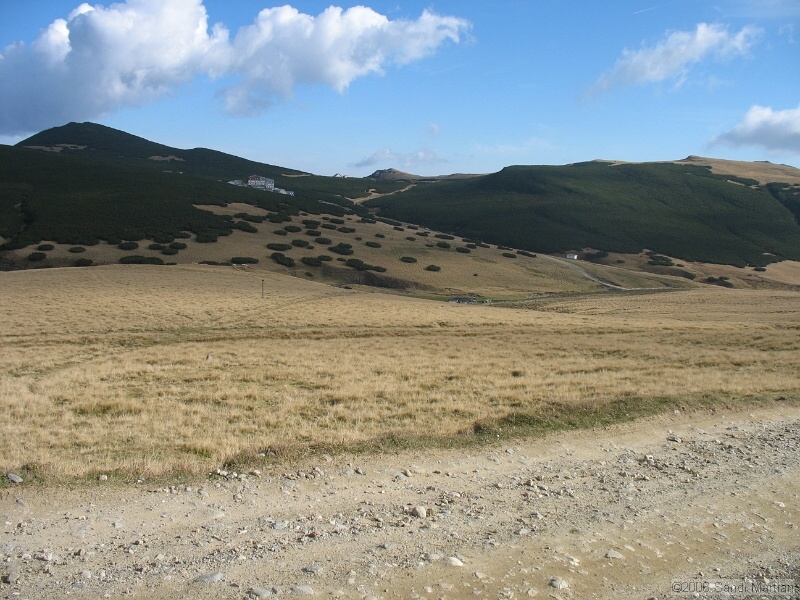 IMG_2833.JPG