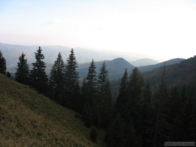 IMG_2854.JPG