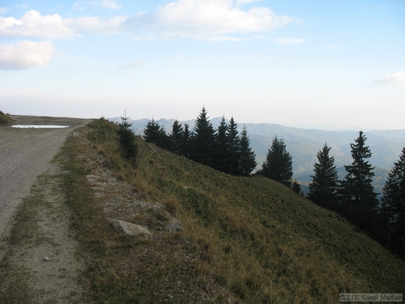 IMG_2858.JPG