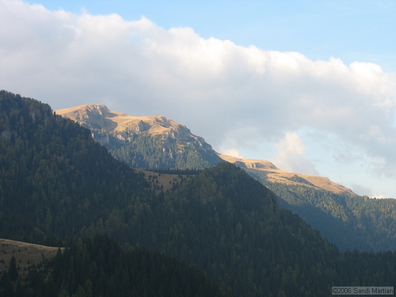 IMG_2860.JPG