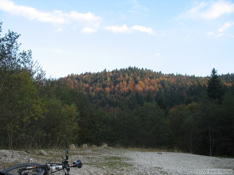 IMG_2878.JPG
