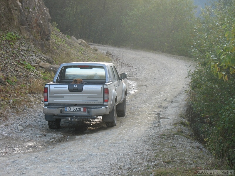IMG_2882.JPG
