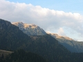 IMG_2860