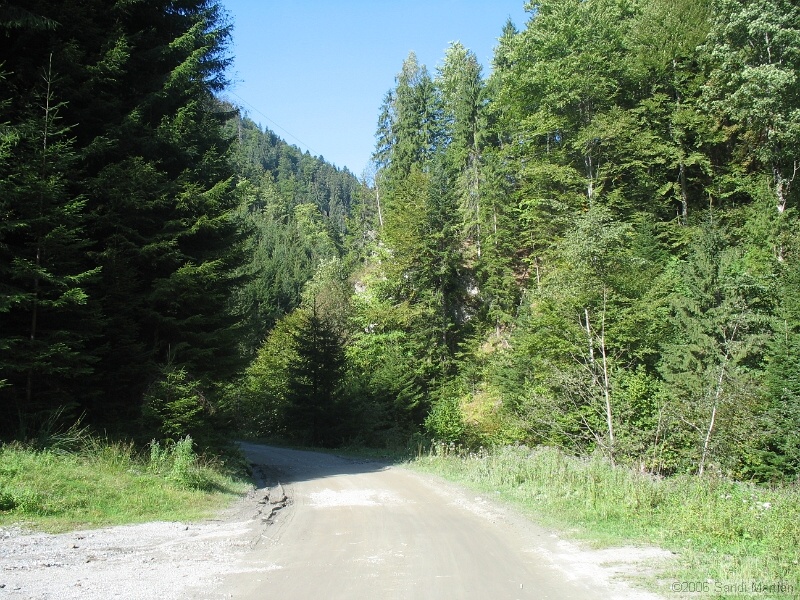 IMG_2655.JPG