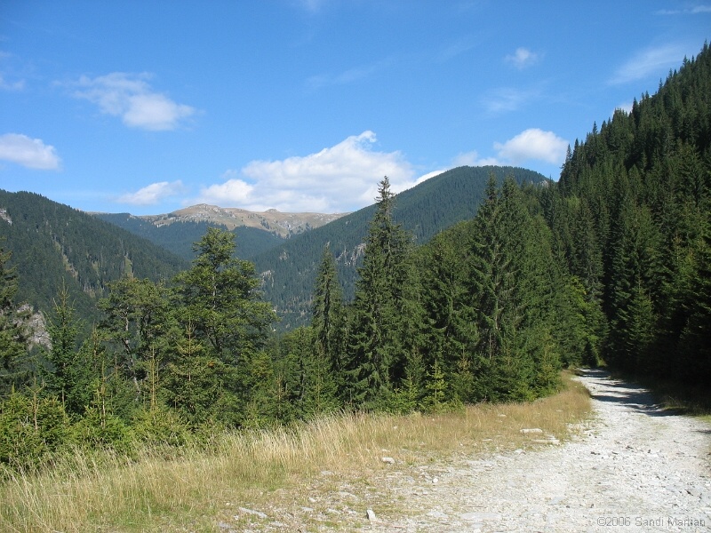 IMG_2679.JPG