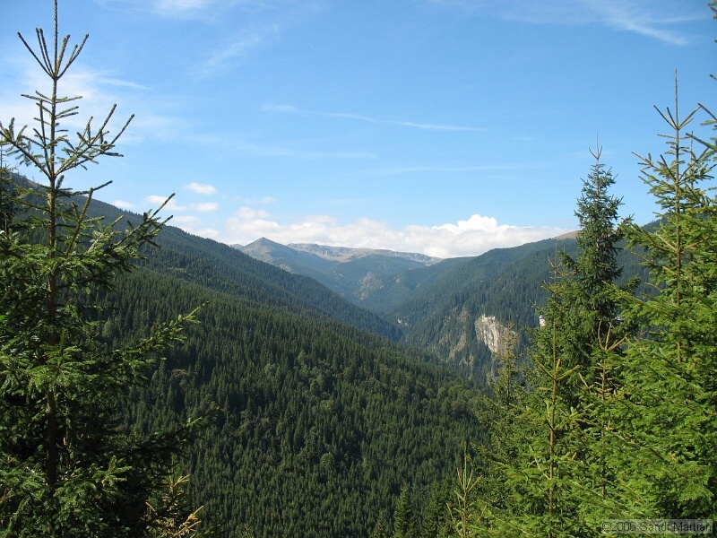 IMG_2686.JPG