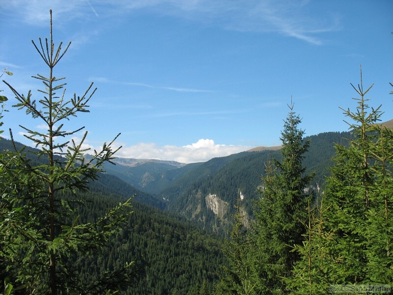 IMG_2688.JPG
