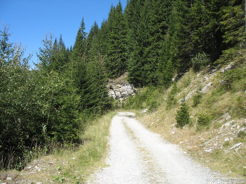 IMG_2689.JPG