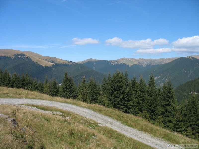 IMG_2695.JPG