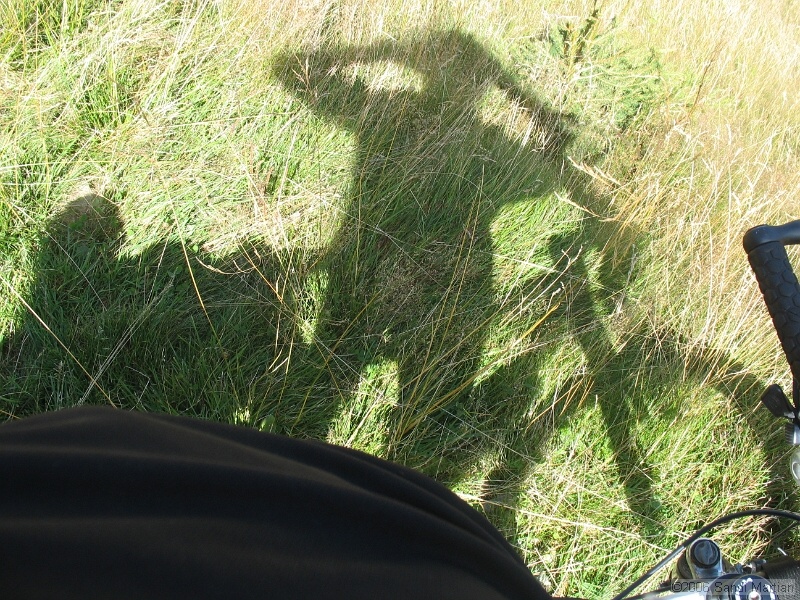 IMG_2699.JPG