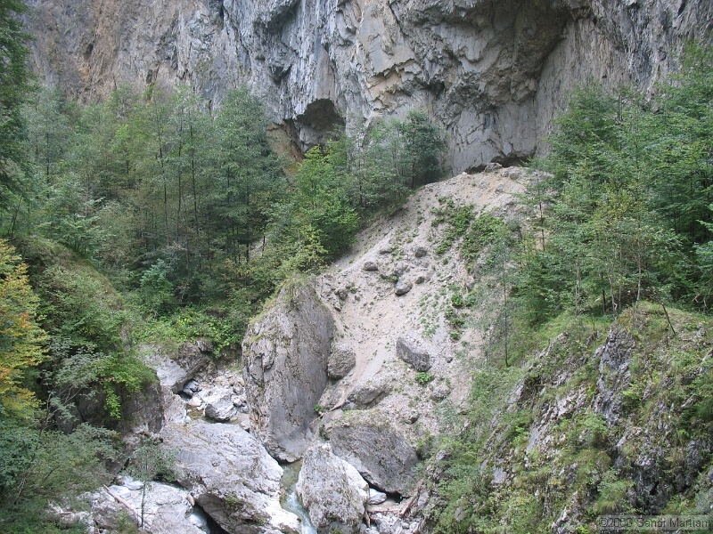 IMG_2703.JPG