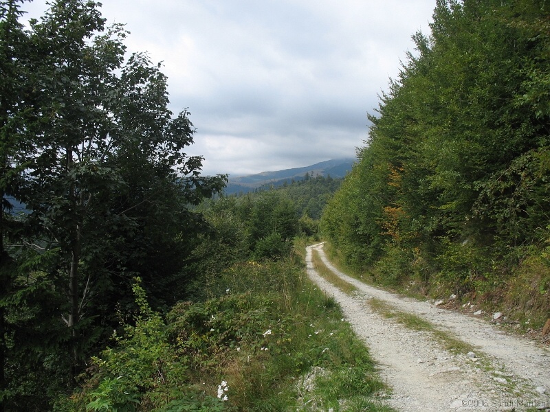 IMG_2733.JPG