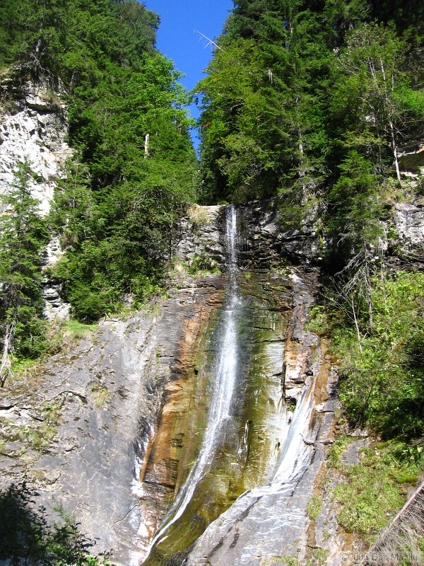 IMG_5644.JPG