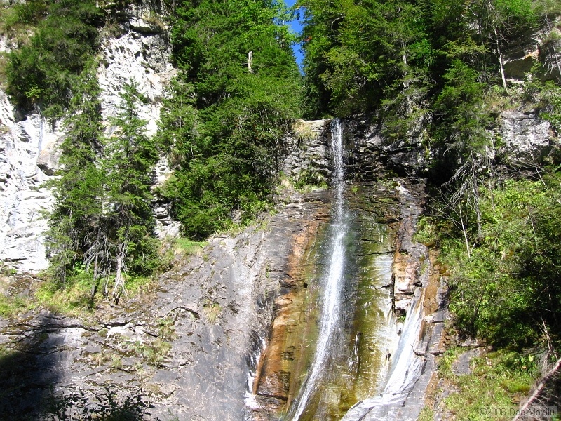 IMG_5645.JPG